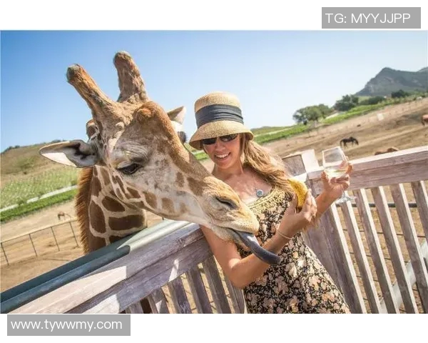女星追星足球明星背后的故事与他们的浪漫关系揭秘 女星追星足球明星背后的故事与他们的浪漫关系揭秘