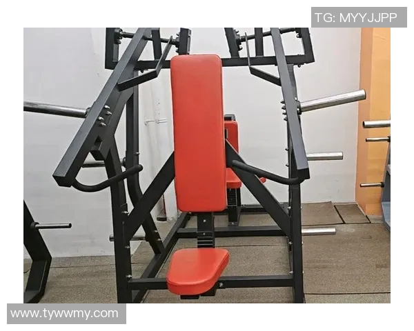 2023年国产健身器材排行榜推荐助你轻松打造完美身材的优质选择