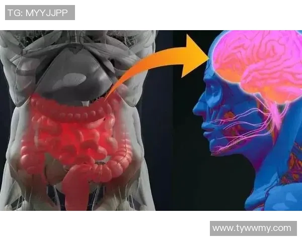 体育锻炼对男性性功能的积极影响及其生理机制探讨