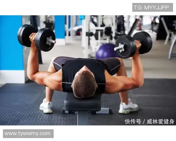 全面提升胸肌力量的哑铃训练动作推荐与技巧解析